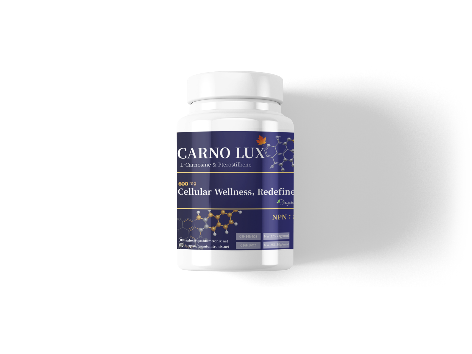 CARNO LUX 제품 라인업